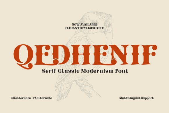 Qedhenif: Elevating Brand Identity with Retro Sophistication
